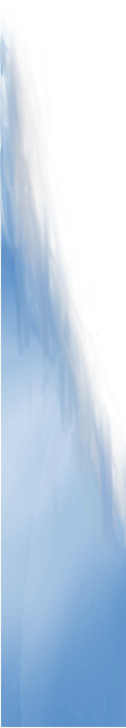 left side decoration border